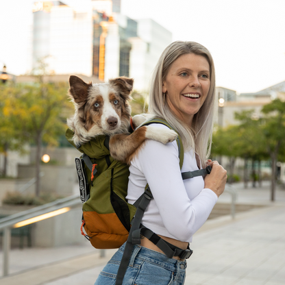 Klearance Urban 3 | Dual Use Dog Carrier & Traditional Backpack