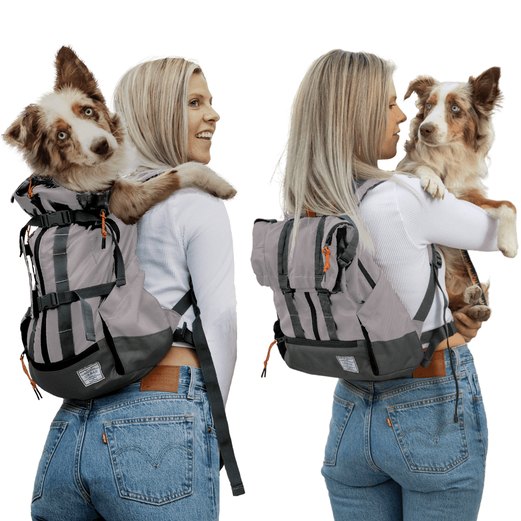 Urban 3 Dog Backpack Carrier—Dual-Use Dog Carrier