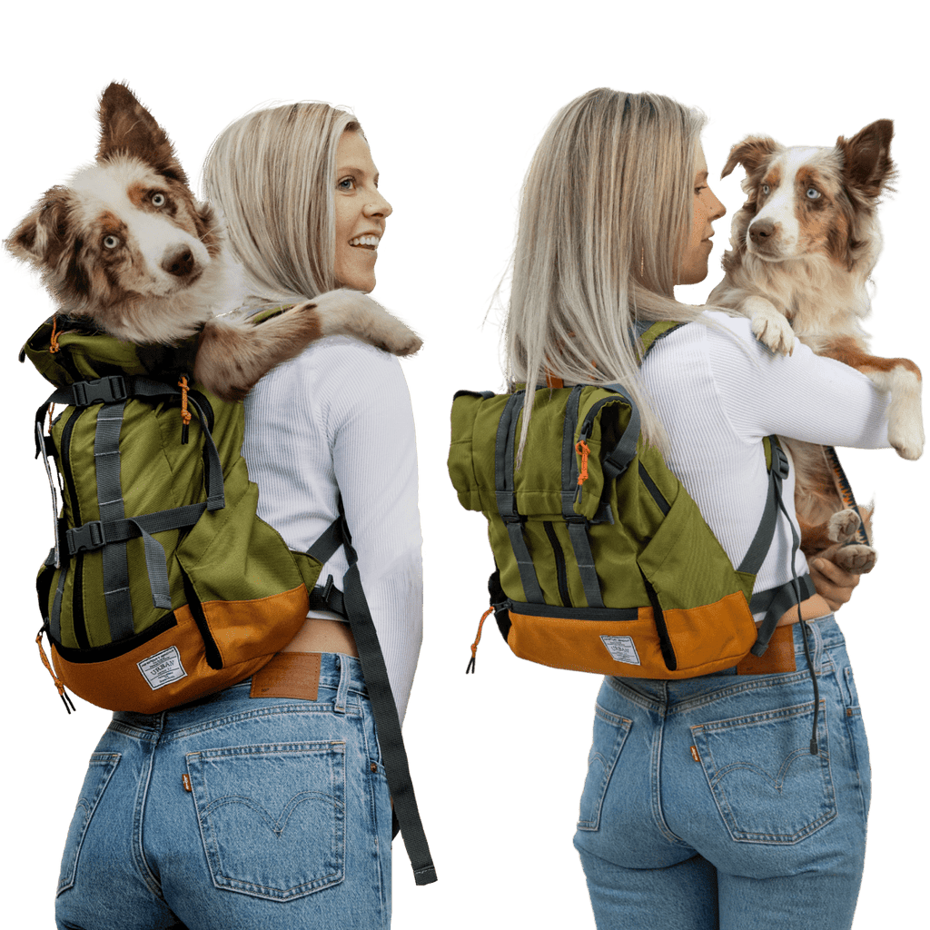 Klearance Urban 3 | Dual Use Dog Carrier & Traditional Backpack