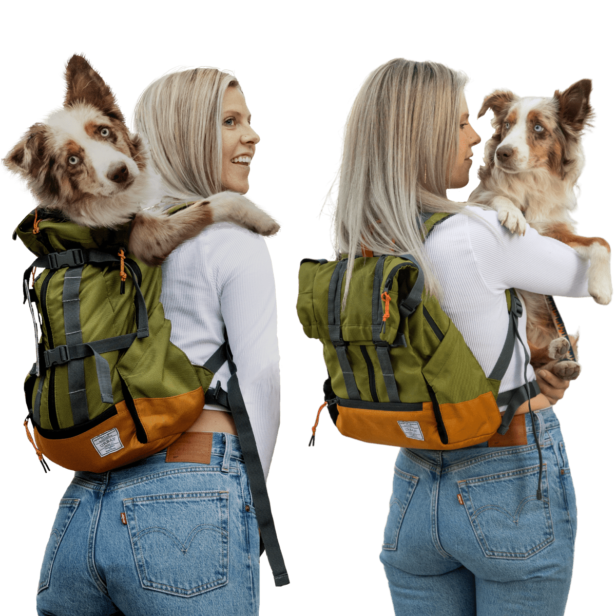 Urban 3 Dog Backpack Carrier – Clearance | K9 Sport Sack