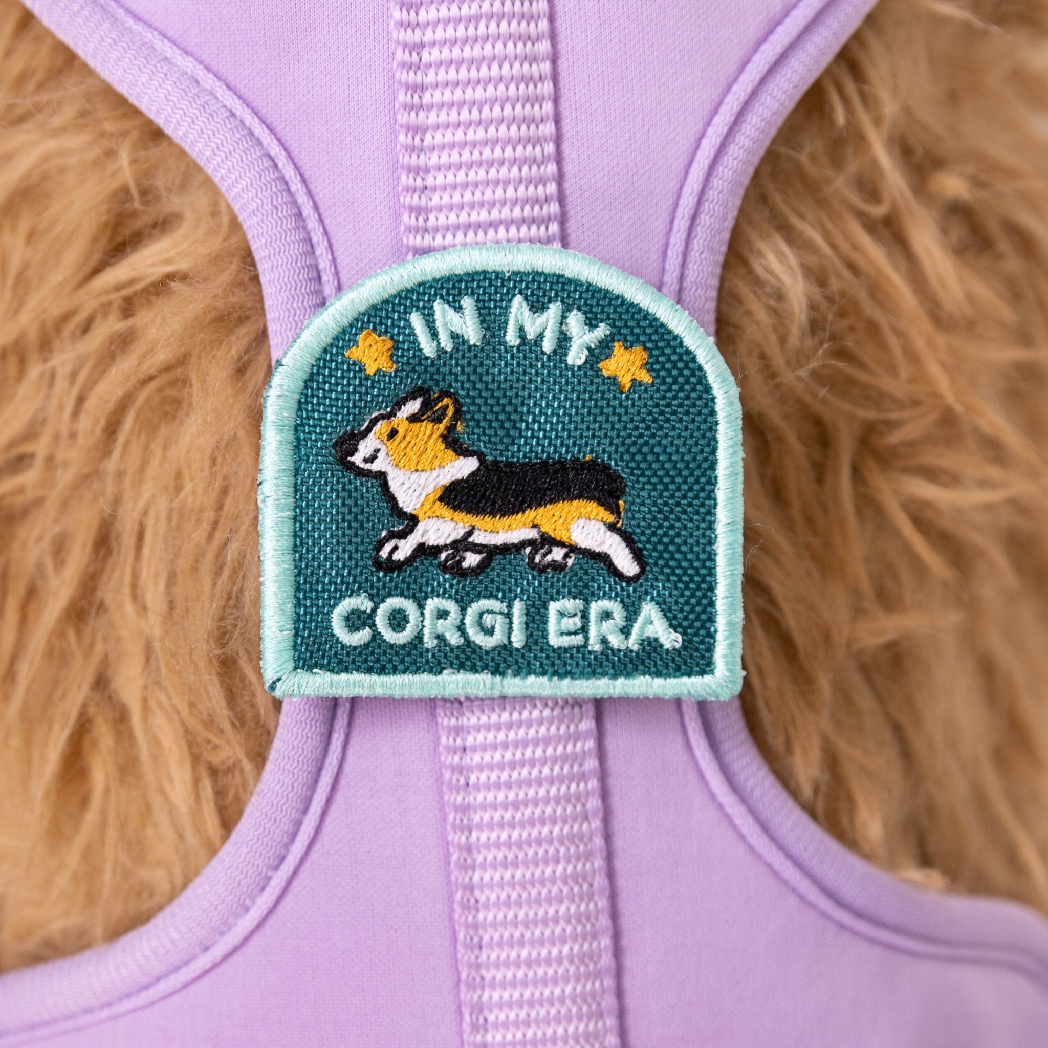 In My Corgi Era Arch Patch