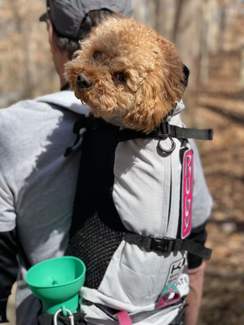 Person carrying a small dog in a backpack with a green cup attached, outdoors.