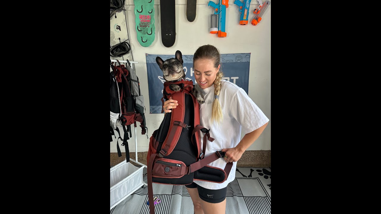 K9 Sport Sack Sizing Guide & Chart | K9 Sport Sack