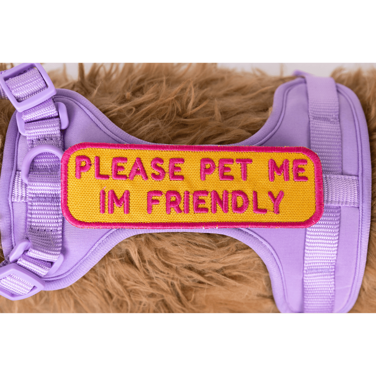 Please Patch Please Pet Me Patch – K9 Sport Sack
