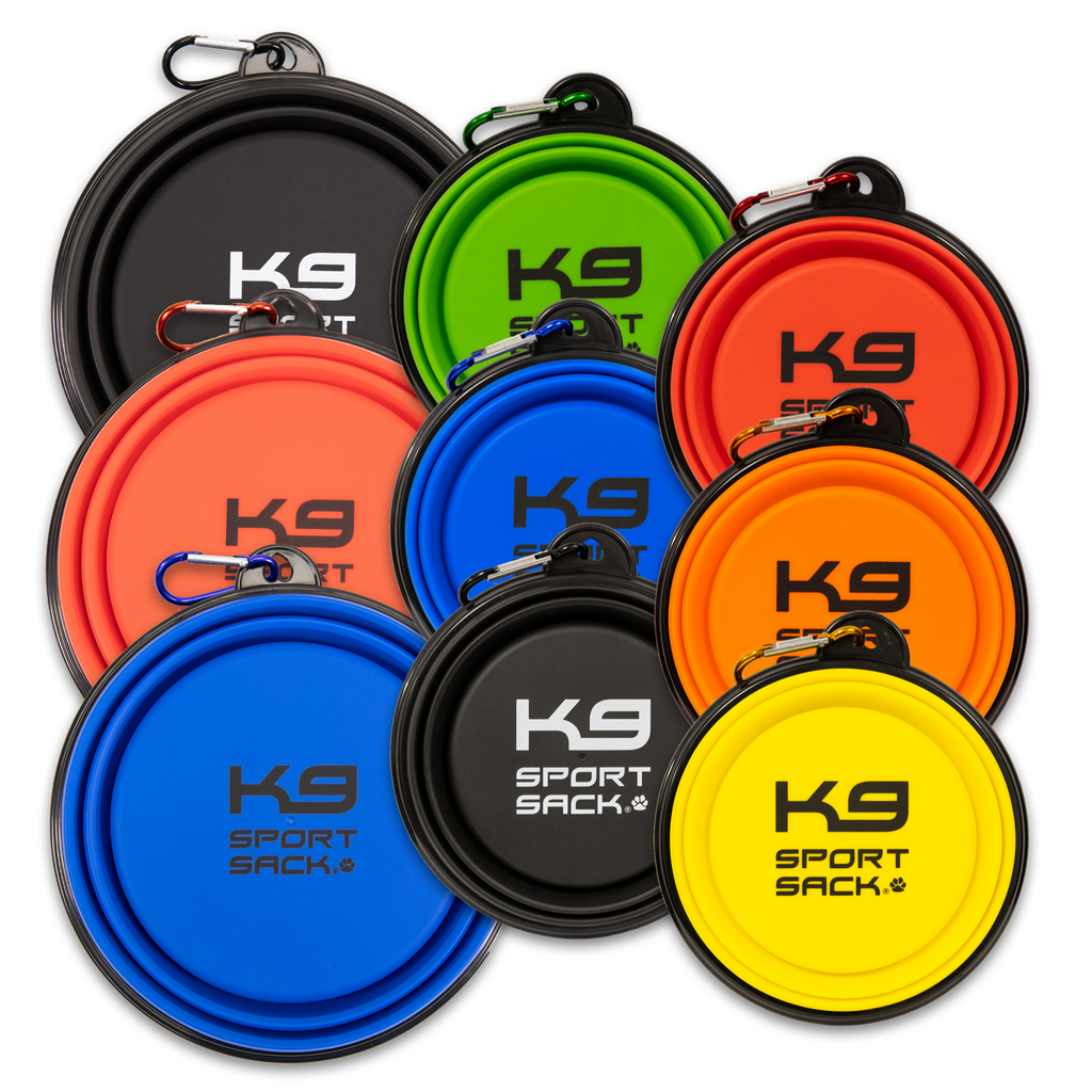 K9 Sport Saucer