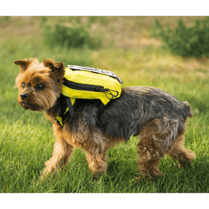 Pet walking with storage 