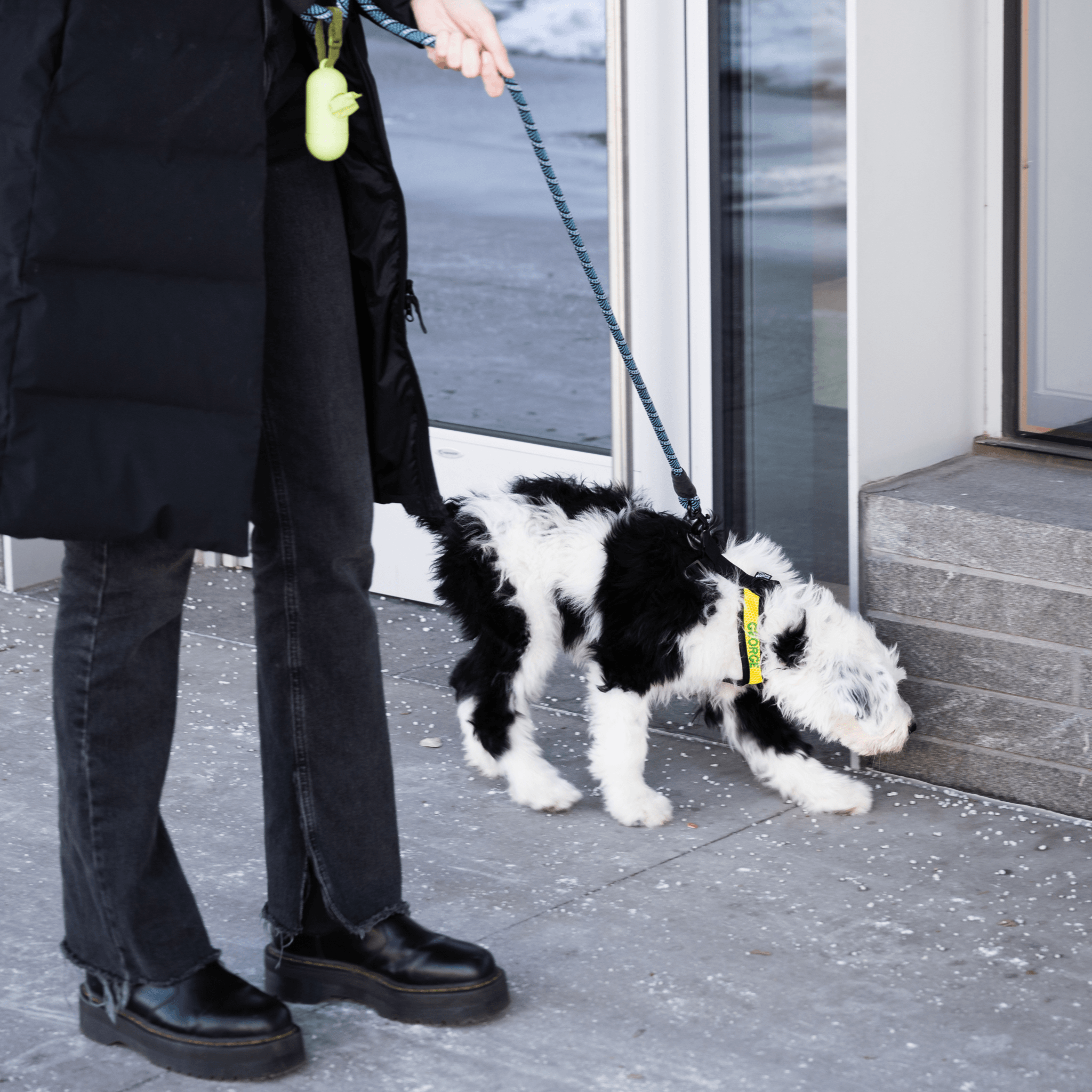 Personalized Harness