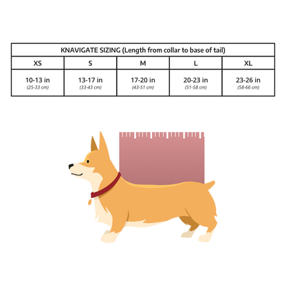 Knavigate | Advanced Dog Carrier with Internal Frame & Hip Belt