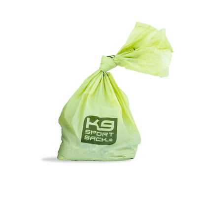 single filled and tied up waste bag.