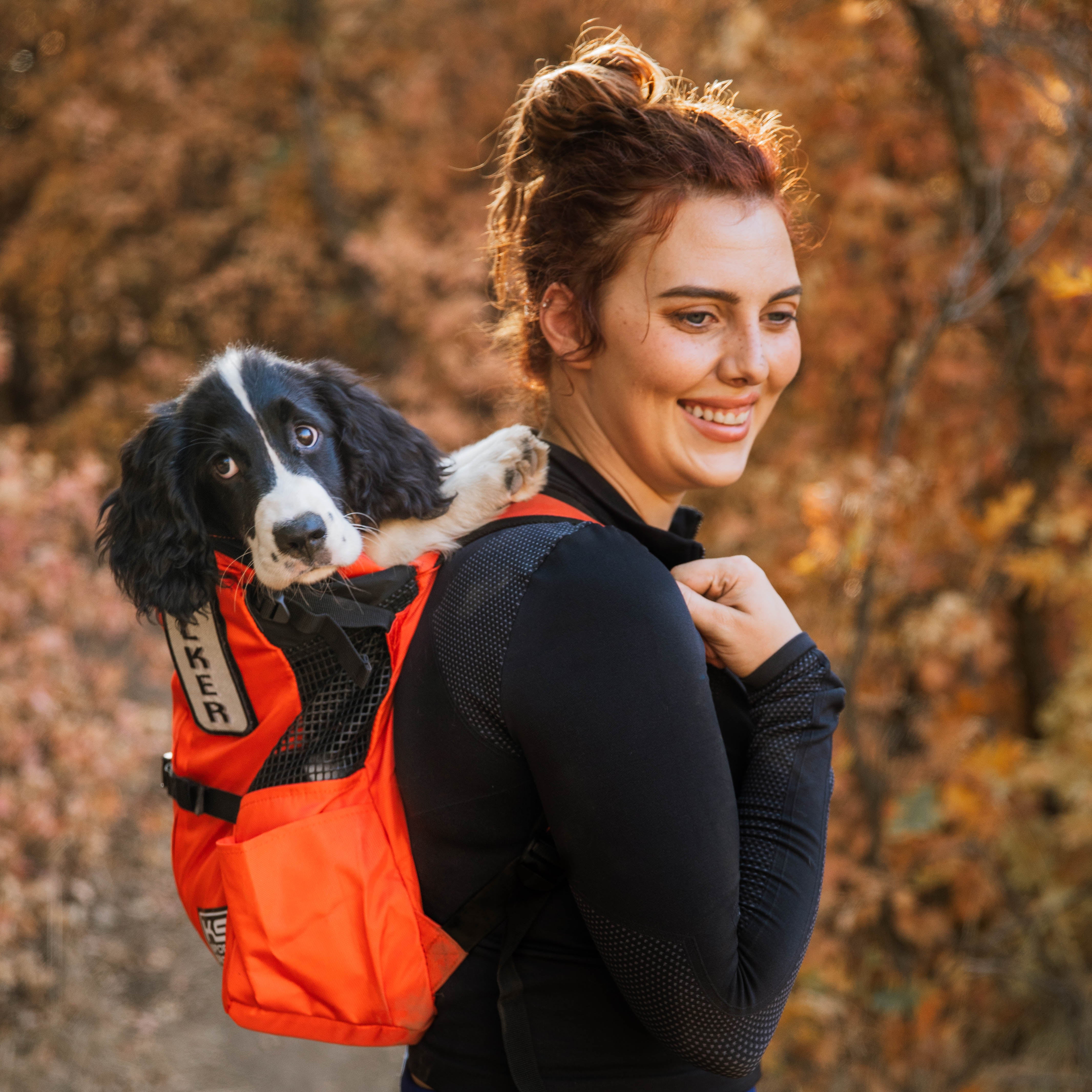 Klearance Trainer Dog Carrier