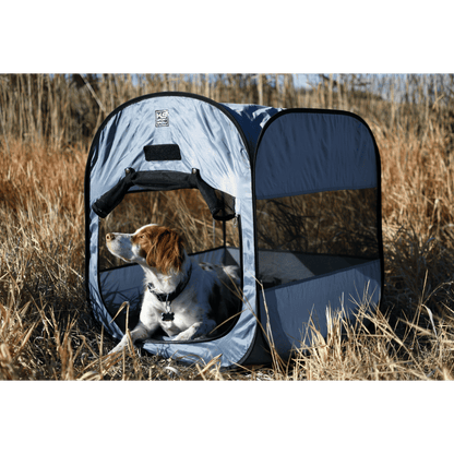 dog resting in pop up kennel