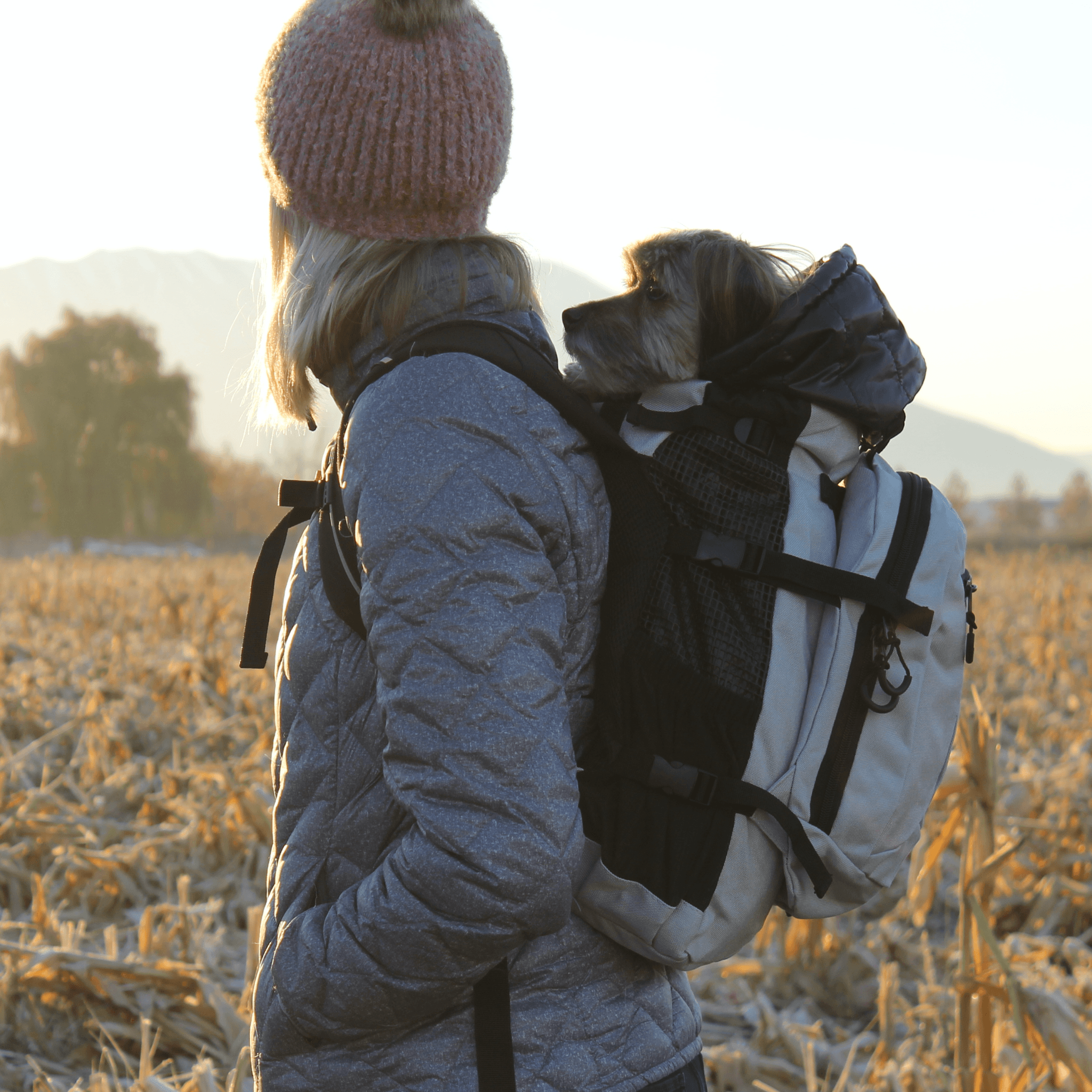 Snuggler dog Jacket backpack