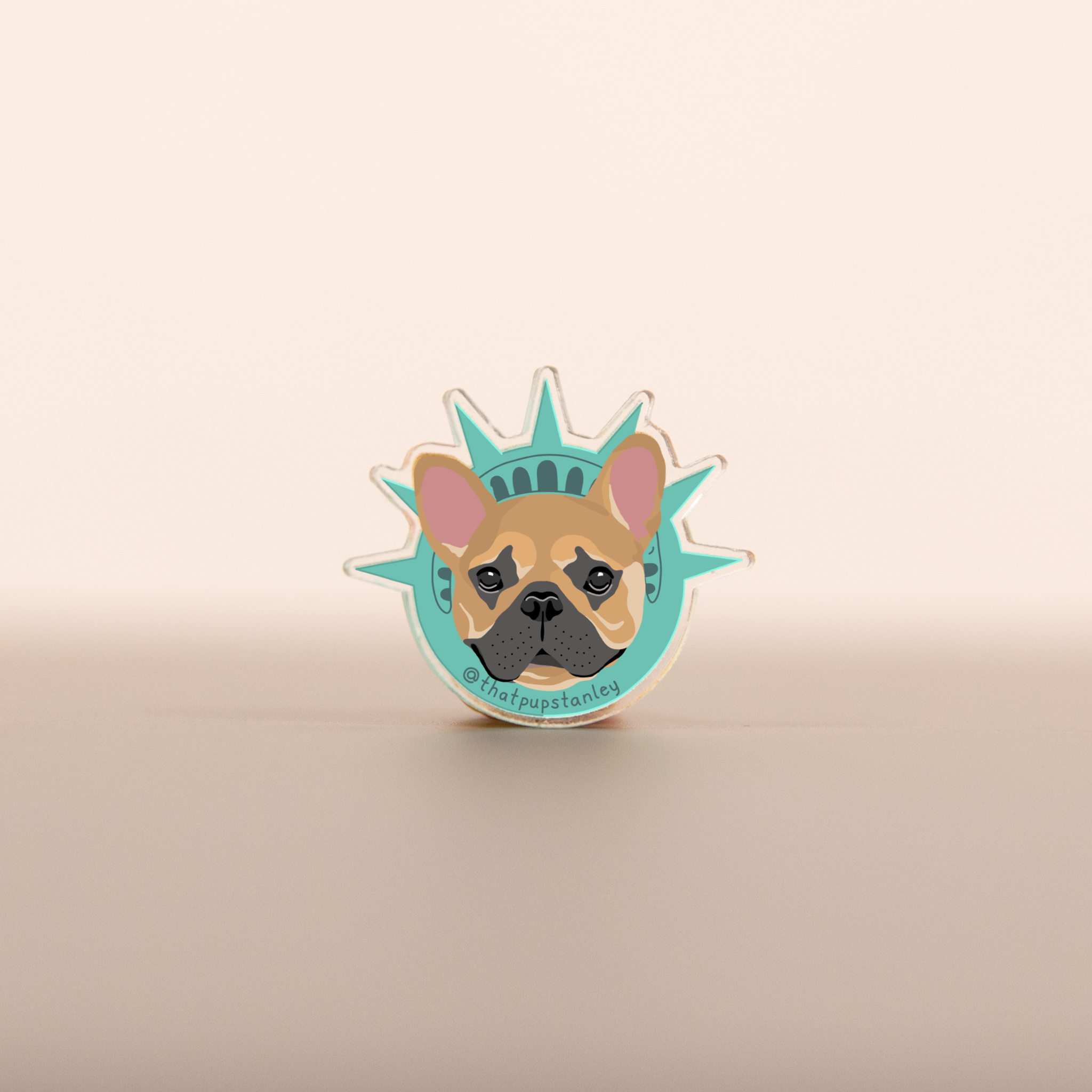 @ThatPupStanley Pin