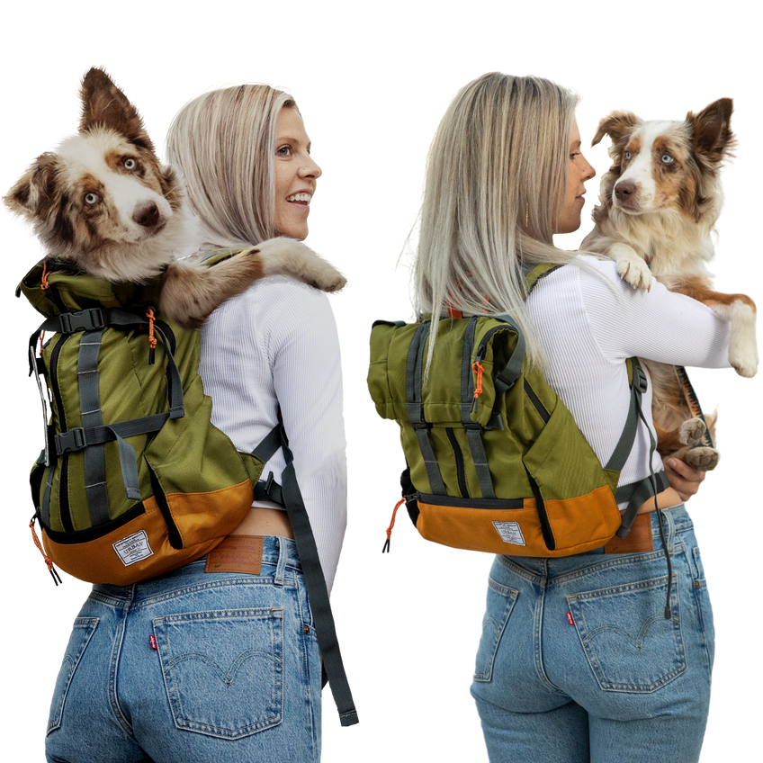 Urban 3 | Dual Use Dog Carrier & Traditional Backpack – K9 Sport Sack