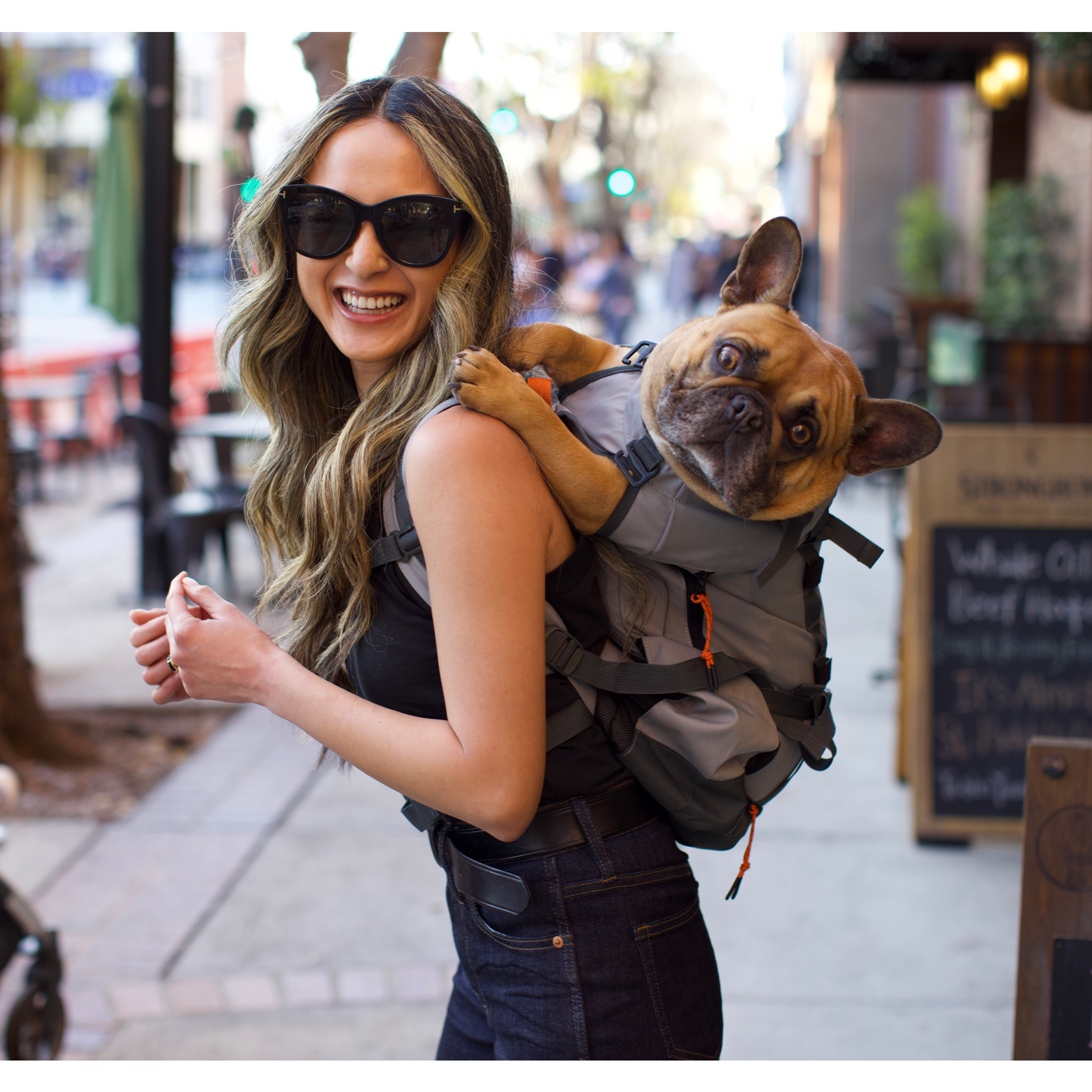 Urban 3 | Dual Use Dog Carrier & Traditional Backpack