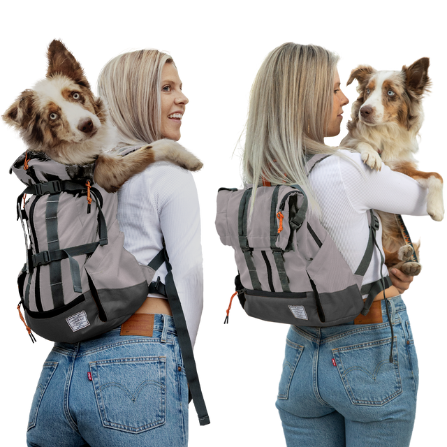 Urban 3 – K9 Sport Sack