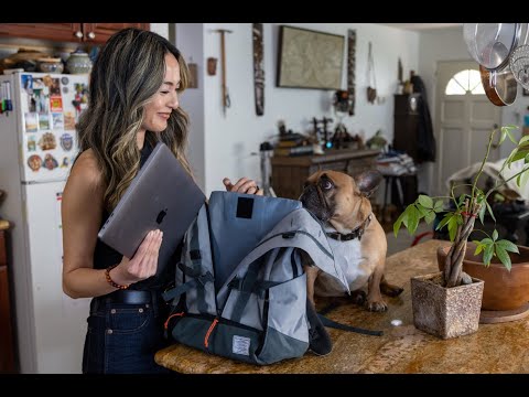 Urban 3 | Dual Use Dog Carrier & Traditional Backpack